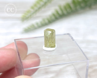 Green Apatite Crystal #5