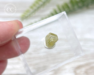 Green Apatite Crystal #5