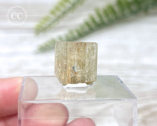 Green Apatite Crystal #6