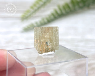 Green Apatite Crystal #6