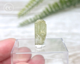 Green Apatite Crystal #7