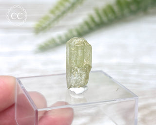 Green Apatite Crystal #7