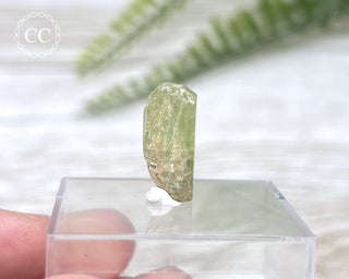 Green Apatite Crystal #7