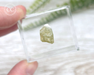 Green Apatite Crystal #7