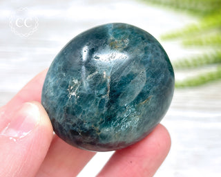 Green Apatite Chunky Palm Stone #3