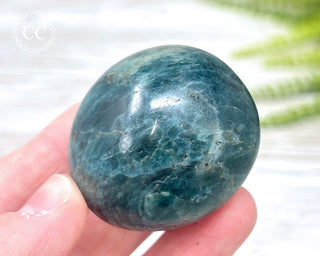 Green Apatite Chunky Palm Stone #3