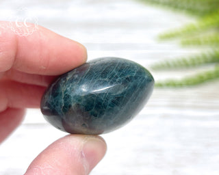 Green Apatite Chunky Palm Stone #3