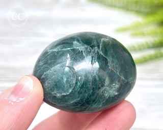 Green Apatite Chunky Palm Stone #6
