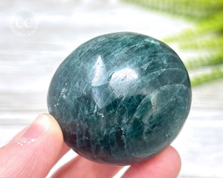 Green Apatite Chunky Palm Stone #6