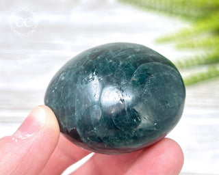 Green Apatite Chunky Palm Stone #6
