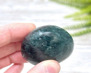 Green Apatite Chunky Palm Stone #6