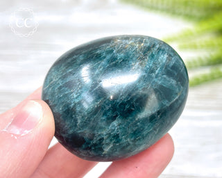 Green Apatite Chunky Palm Stone #7