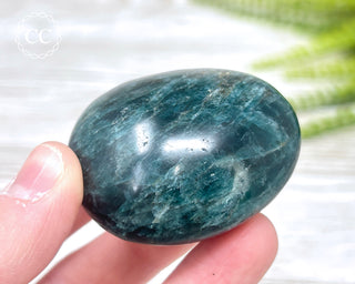 Green Apatite Chunky Palm Stone #7