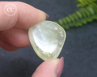 Green Apophyllite Pebble #5