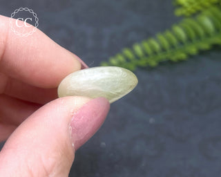 Green Apophyllite Pebble #5
