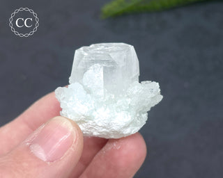 Pale Green Apophyllite Cluster #4