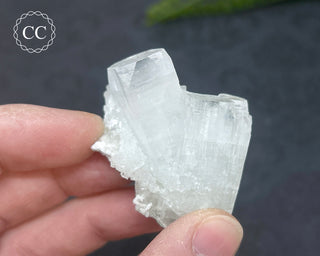 Pale Green Apophyllite Cluster #5