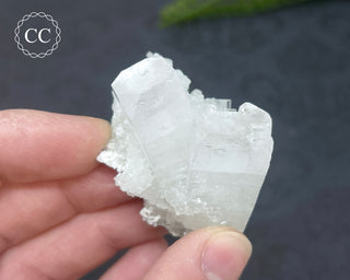 Pale Green Apophyllite Cluster #5