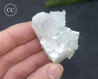 Pale Green Apophyllite Cluster #5