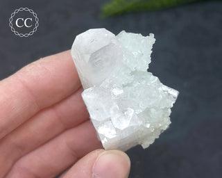 Pale Green Apophyllite Cluster #5