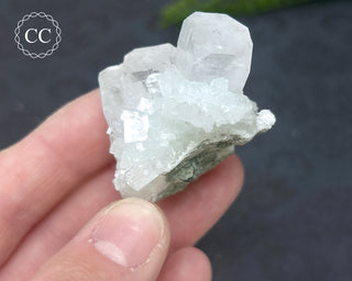 Pale Green Apophyllite Cluster #5