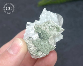 Pale Green Apophyllite Cluster #5