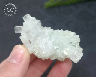 Pale Green Apophyllite Cluster #6