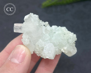 Pale Green Apophyllite Cluster #6