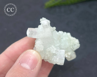 Pale Green Apophyllite Cluster #6