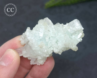 Pale Green Apophyllite Cluster #6