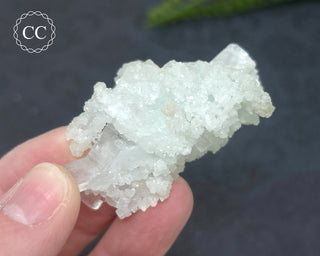 Pale Green Apophyllite Cluster #6