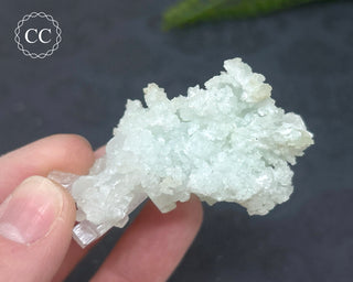 Pale Green Apophyllite Cluster #6