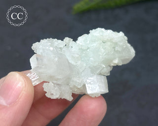 Pale Green Apophyllite Cluster #6