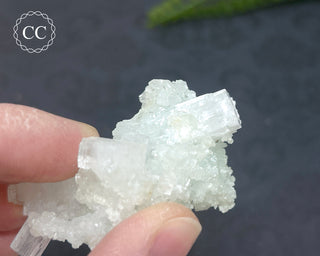 Pale Green Apophyllite Cluster #6