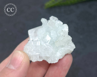 Pale Green Apophyllite Cluster #7