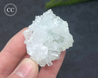 Pale Green Apophyllite Cluster #7