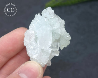 Pale Green Apophyllite Cluster #7