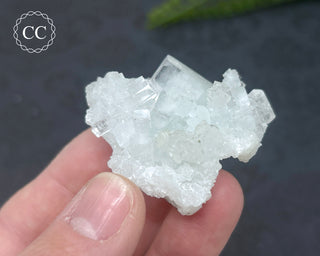 Pale Green Apophyllite Cluster #7