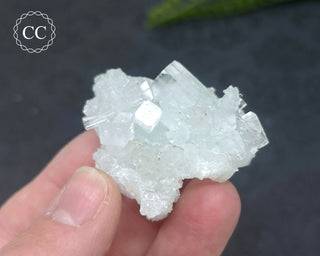 Pale Green Apophyllite Cluster #7