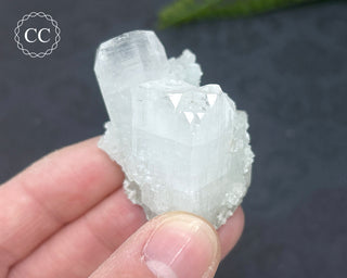 Pale Green Apophyllite Cluster #5