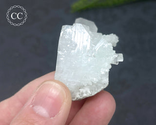 Pale Green Apophyllite Cluster #5