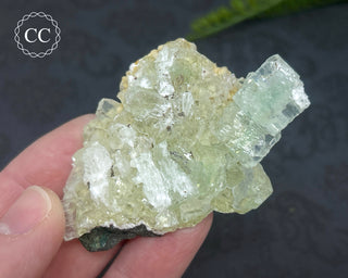 Green Apophyllite with Stilbite Cluster #3