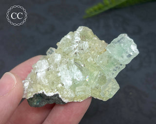 Green Apophyllite with Stilbite Cluster #3