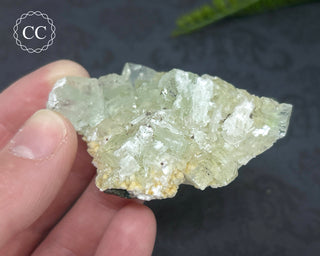 Green Apophyllite with Stilbite Cluster #3