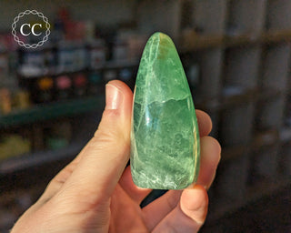 DISCOUNTED Green Fluorite Freeform #22