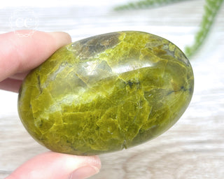Green Opal Chunky Palm Stone #2