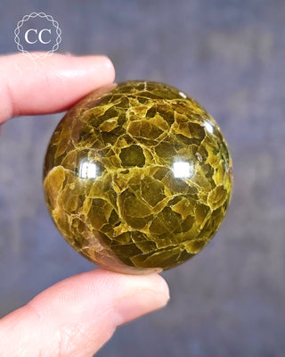 A hand holding a Green Opal Sphere from Madagascar