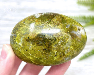 Green Opal Chunky Palm Stone #1