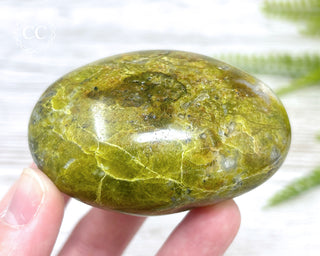 Green Opal Chunky Palm Stone #1