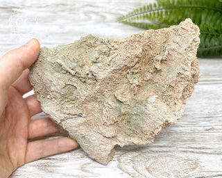 Green Selenite Specimen #5